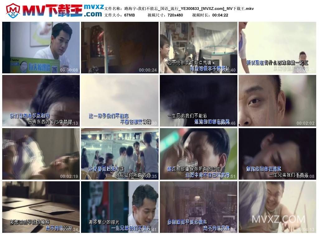 路海宇-我们不能忘_国语_流行_YE300833